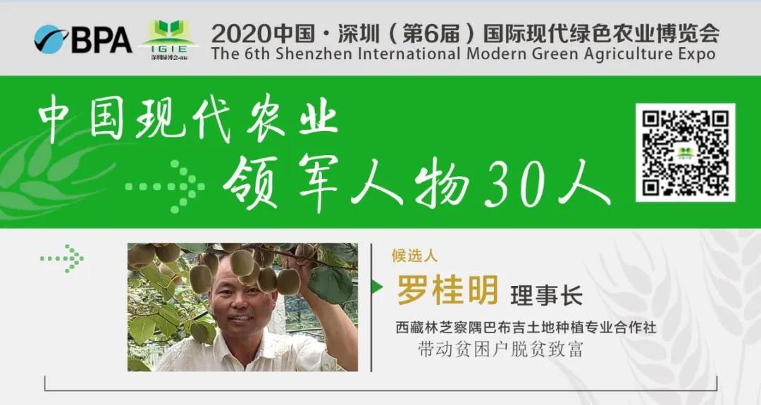 【现代农业领军人物30人】罗桂明——带动一方发展、富裕一方群众