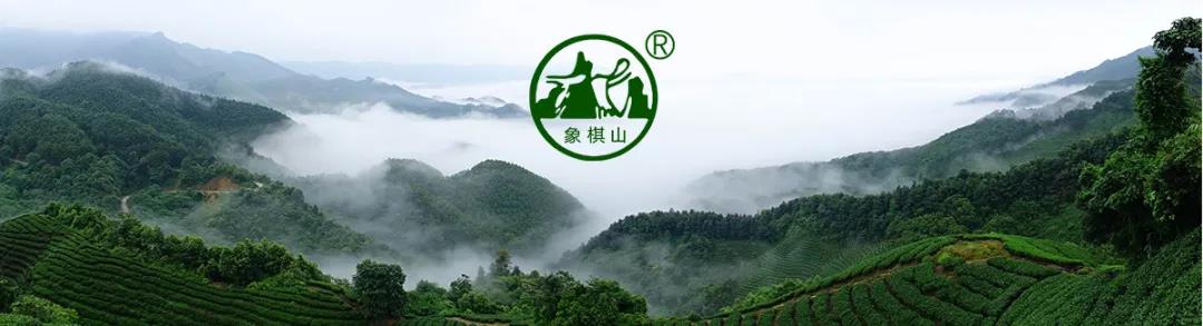 【每周优品】原始生态，自然有机——昭平县象棋山有机茶