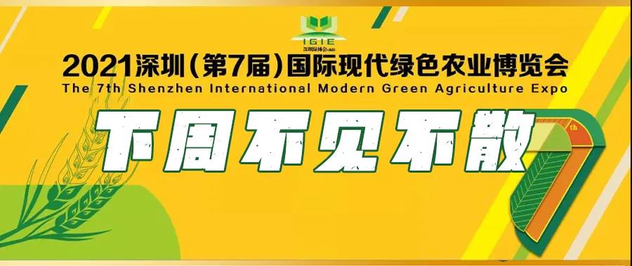 9月23-25日，2021深圳绿博会重磅开启！