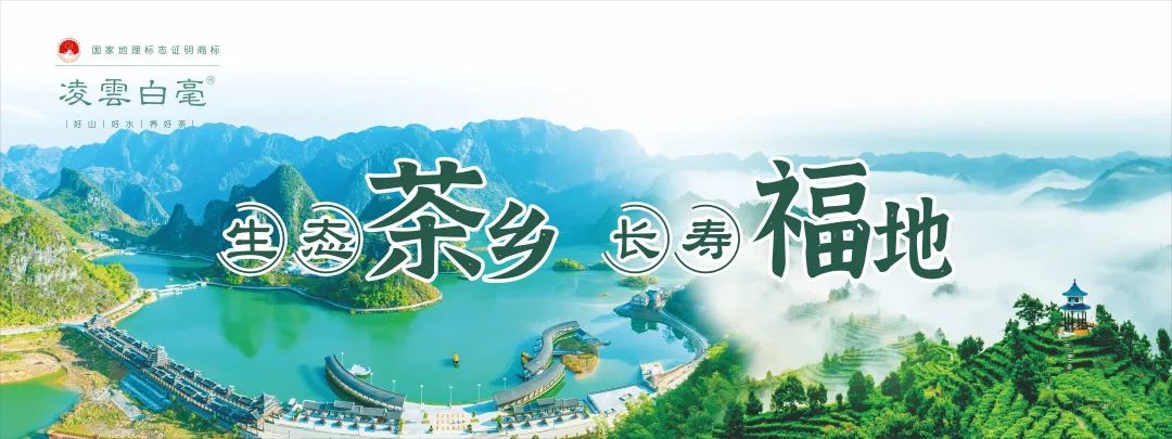 壮志凌云！凌云县农特产品深圳绿博会展销会即将盛大开启