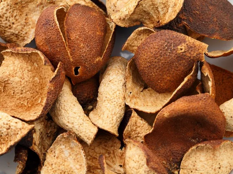【每周优品】陈皮：入膳调百味，入方和百药！