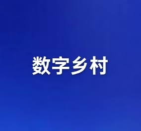 关注 | 9个方面26项重点任务→《2025年数字乡村发展工作要点》发布